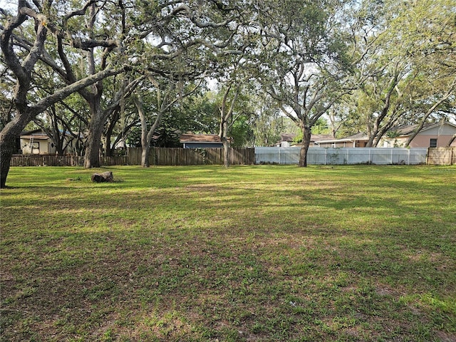 10909 Marjory Ave, Tampa, FL 33612 - photo 35