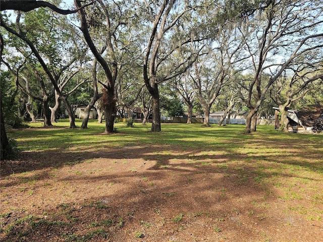 10909 Marjory Ave, Tampa, FL 33612 - photo 37