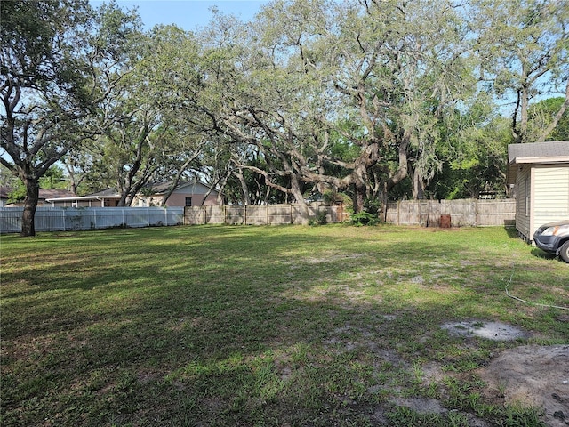 10909 Marjory Ave, Tampa, FL 33612 - photo 34