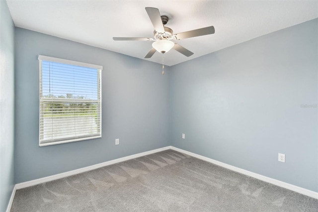 21861 Adriatic Ln, Land O Lakes, FL 34637 - photo 29