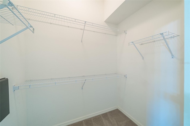 18979 Duquesne Dr, Tampa, FL 33647 - photo 23