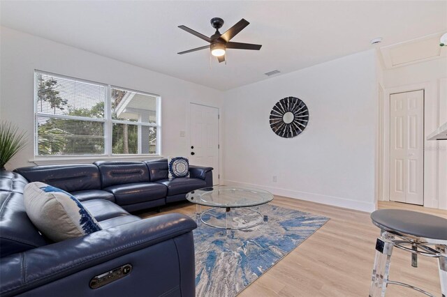 2311 16th Ave S, Saint Petersburg, FL 33712 - photo 7