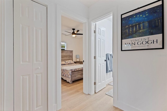 2311 16th Ave S, Saint Petersburg, FL 33712 - photo 14