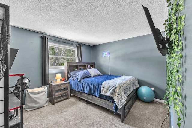 3731 Southview Dr, Brandon, FL 33511 - carpeted bedroom with a textured ceiling