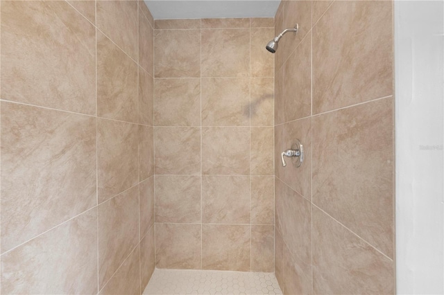 4923 Avery Rd, New Port Richey, FL 34652 - full bath featuring a tile shower