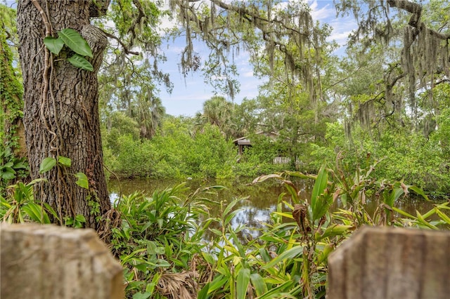 4923 Avery Rd, New Port Richey, FL 34652 - view of nature