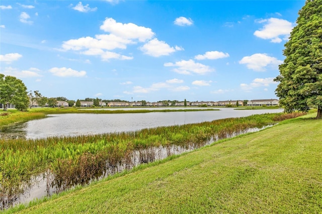 4879 Pond Ridge Dr, Riverview, FL 33578 - photo 40