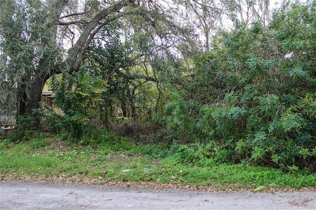 3018 Galaxy Ln, Lakeland, FL 33801 - photo 3