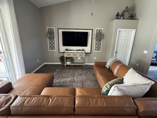 10080 SE 69th Ter, Belleview, FL 34420 - living area featuring dark wood finished floors and lofted ceiling