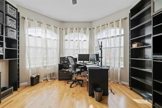 22623 Cliffside Way, Land O Lakes, FL 34639 - home office with wood-type flooring and baseboards