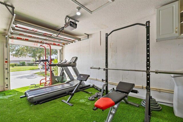 22623 Cliffside Way, Land O Lakes, FL 34639 - workout room with a textured ceiling and concrete block wall