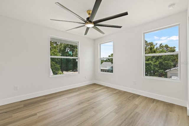 1661 29th Ave N, Saint Petersburg, FL 33713 - photo 32