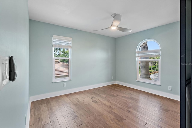 803 3rd Ave S, Tierra Verde, FL 33715 - photo 37