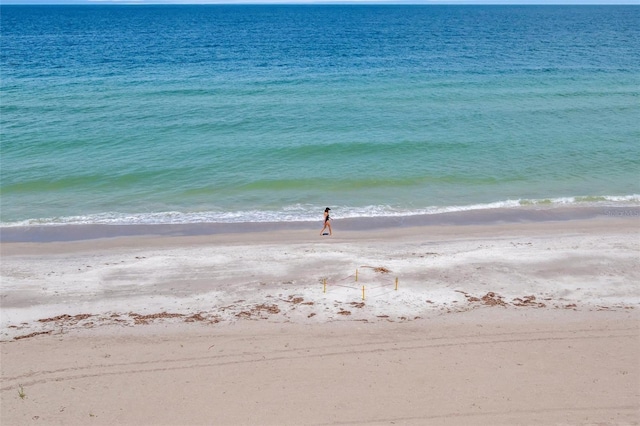 1586 Gulf Blvd Unit 2401, Clearwater, FL 33767 - photo 5