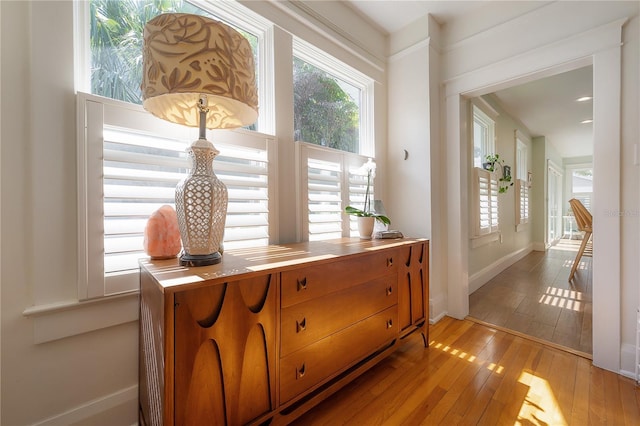 1407 S Moody Ave, Tampa, FL 33629 - detailed view of wood finished floors and baseboards