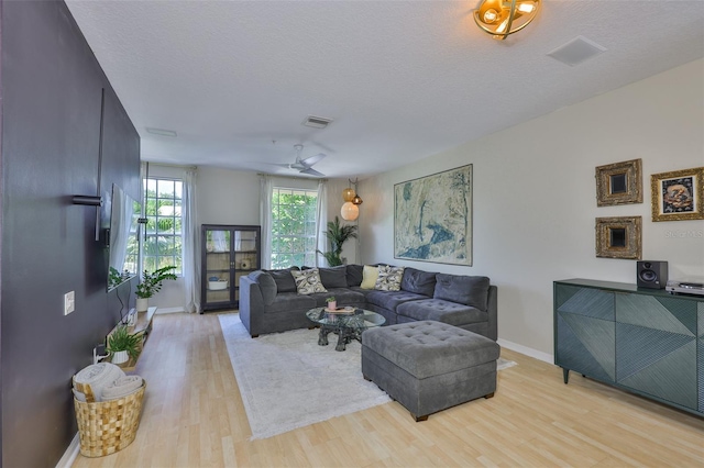 5623 Gaspar Oaks Dr, Tampa, FL 33611 - photo 10
