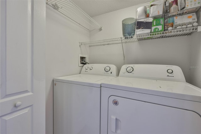 5623 Gaspar Oaks Dr, Tampa, FL 33611 - photo 29