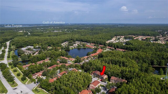 4117 Daventry Ln, Palm Harbor, FL 34685 - aerial view of property's location with a heavily wooded area and a large body of water