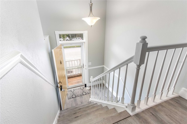 4117 Daventry Ln, Palm Harbor, FL 34685 - stairway with wood finished floors and baseboards