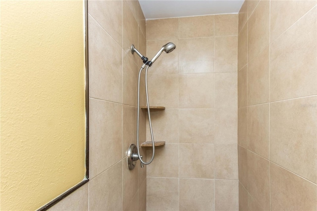 4117 Daventry Ln, Palm Harbor, FL 34685 - bathroom view of a tile shower