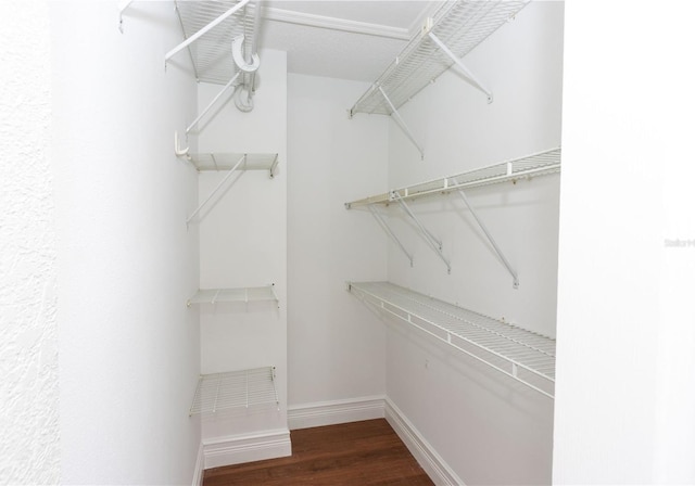 4117 Daventry Ln, Palm Harbor, FL 34685 - walk in closet with dark wood finished floors