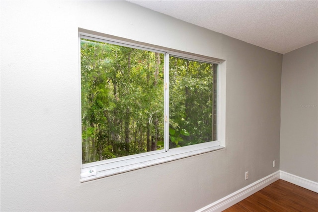 4117 Daventry Ln, Palm Harbor, FL 34685 - unfurnished room featuring dark wood-style flooring and a textured ceiling