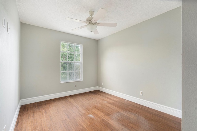 4117 Daventry Ln, Palm Harbor, FL 34685 - spare room featuring light wood-type flooring, a textured ceiling, and a ceiling fan