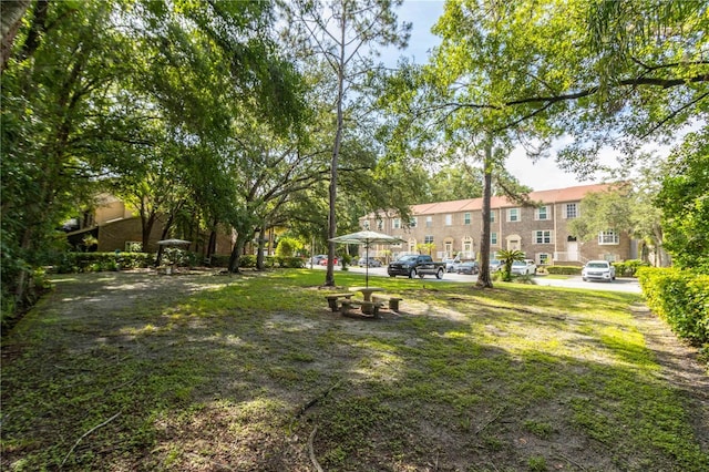 4117 Daventry Ln, Palm Harbor, FL 34685 - view of yard