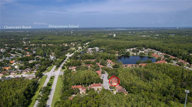 4117 Daventry Ln, Palm Harbor, FL 34685 - aerial overview of property's location featuring a heavily wooded area and a large body of water