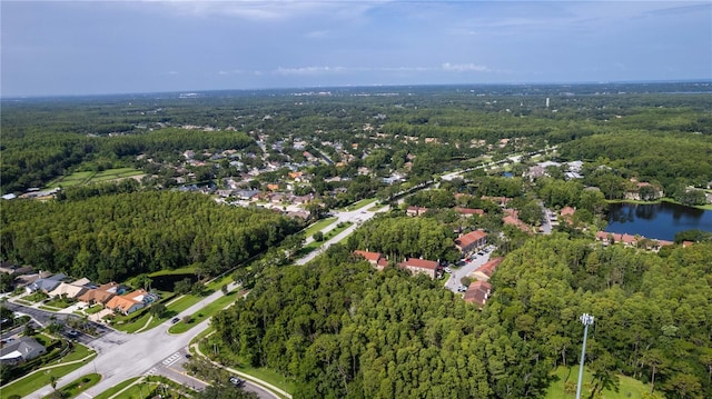 4117 Daventry Ln, Palm Harbor, FL 34685 - view of property location featuring a heavily wooded area and a nearby body of water