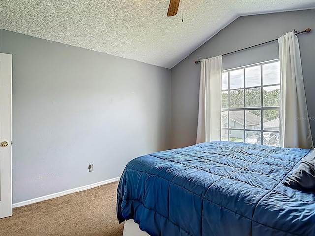 9707 Kings Canyon Pl, Tampa, FL 33634 - photo 50
