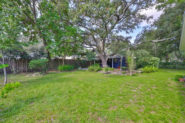 1708 Pond Lake Dr, Tampa, FL 33612 - view of fenced backyard