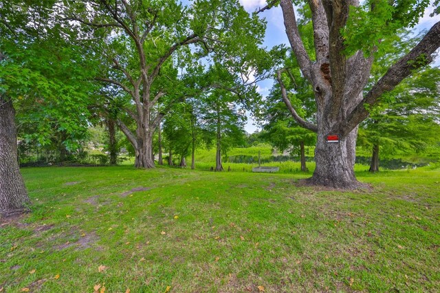 1708 Pond Lake Dr, Tampa, FL 33612 - view of green lawn