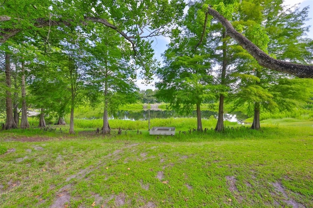 1708 Pond Lake Dr, Tampa, FL 33612 - view of yard with a water view