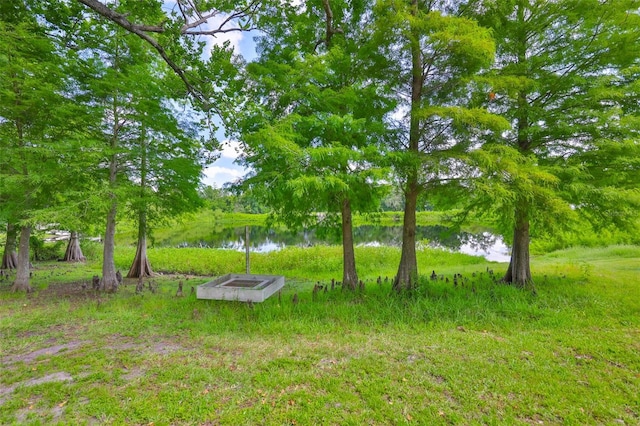 1708 Pond Lake Dr, Tampa, FL 33612 - view of yard with a water view