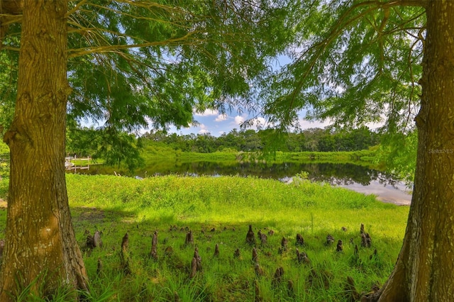 1708 Pond Lake Dr, Tampa, FL 33612 - view of local wilderness with a large body of water