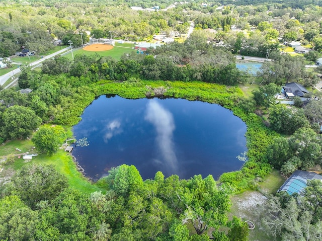 1708 Pond Lake Dr, Tampa, FL 33612 - bird's eye view of a large body of water