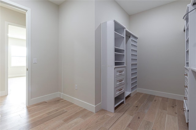 1808 W Erna Dr, Tampa, FL 33603 - photo 47