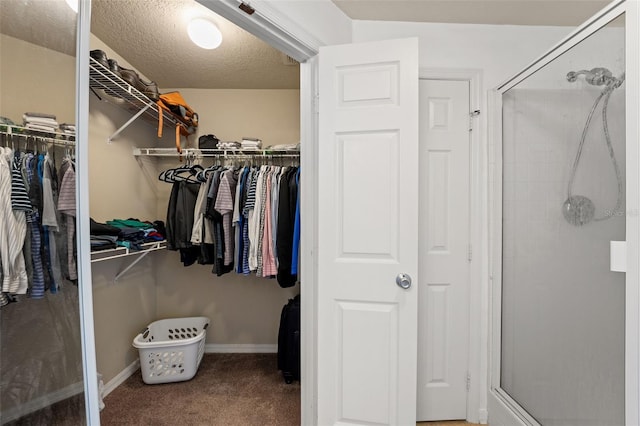 501 Knights Run Ave Unit 2119, Tampa, FL 33602 - photo 13