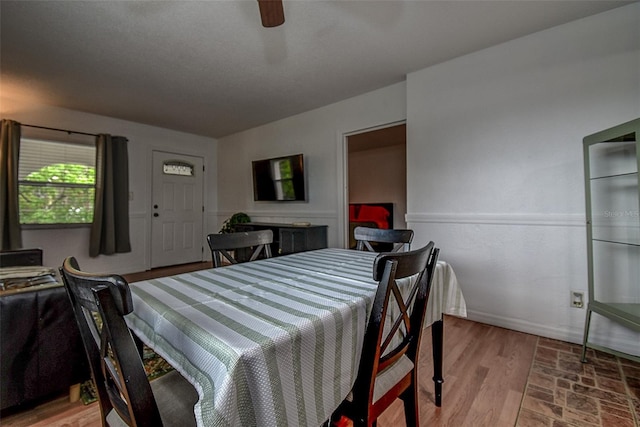 8304 Bardmoor Blvd Unit 206, Seminole, FL 33777 - photo 9