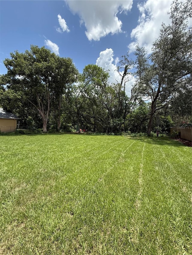 6270 Airmont Dr, Spring Hill, FL 34606 - view of yard