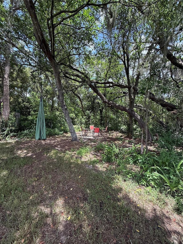 6270 Airmont Dr, Spring Hill, FL 34606 - view of yard