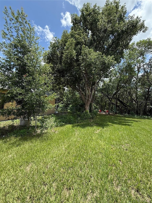 6270 Airmont Dr, Spring Hill, FL 34606 - view of green lawn