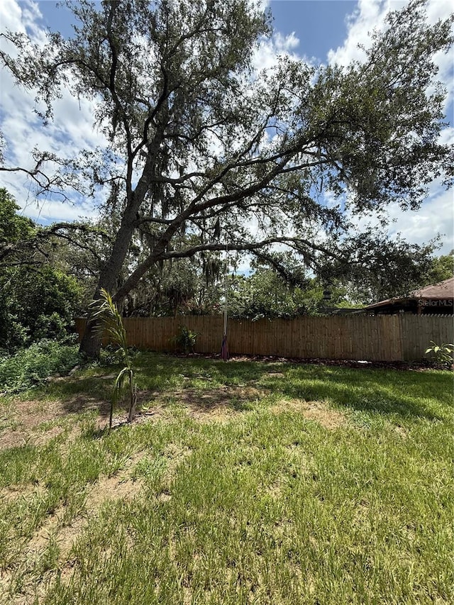 6270 Airmont Dr, Spring Hill, FL 34606 - view of yard