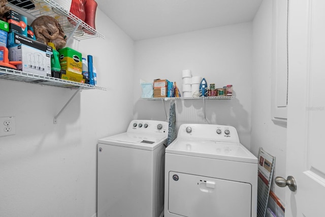 17071 Oval Rum Dr, Wimauma, FL 33598 - photo 9