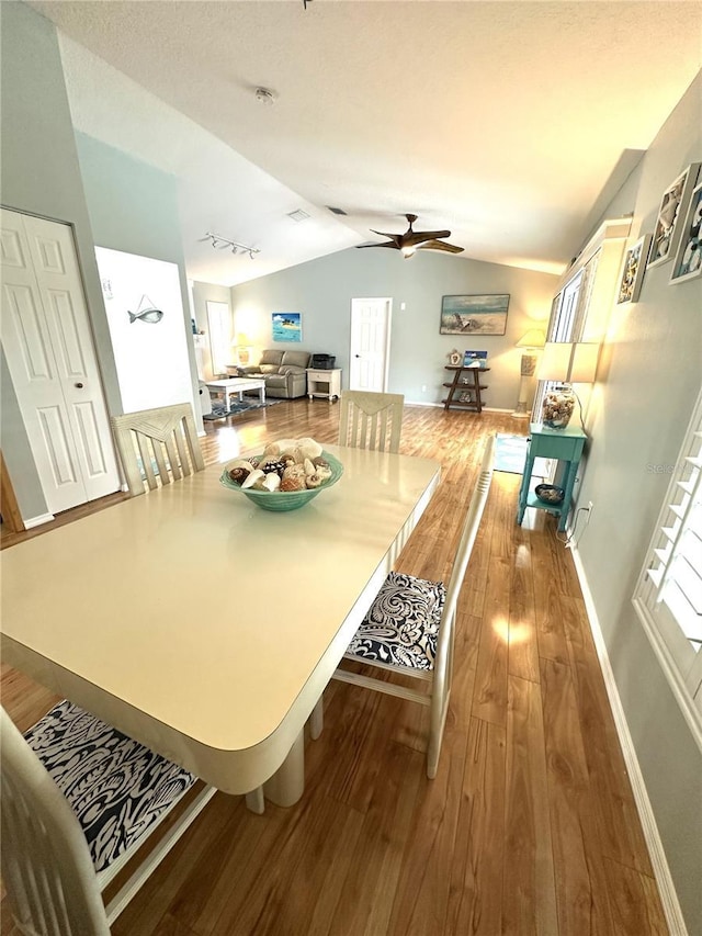 713 Rustic Oaks Dr, Palm Harbor, FL 34684 - dining space with lofted ceiling, wood finished floors, ceiling fan, and rail lighting