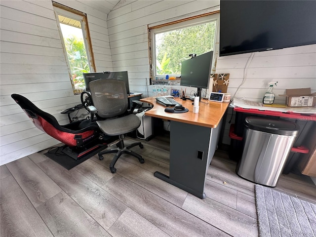 713 Rustic Oaks Dr, Palm Harbor, FL 34684 - office space with wooden walls, wood finished floors, plenty of natural light, and lofted ceiling