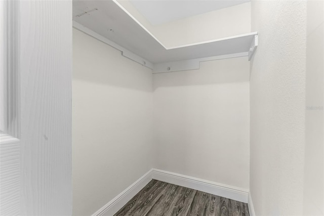 7607 New York Ave, Hudson, FL 34667 - walk in closet featuring dark wood-style floors