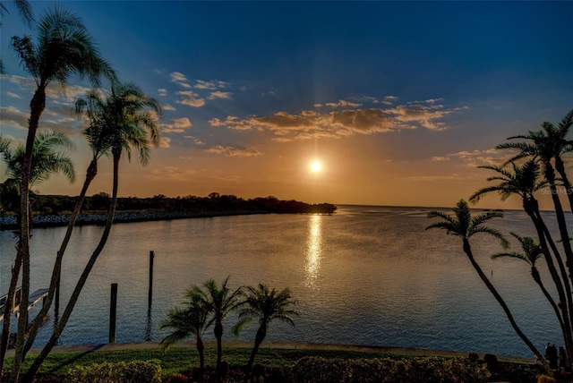 508 Driftwood Cir, Palm Harbor, FL 34683 - photo 19