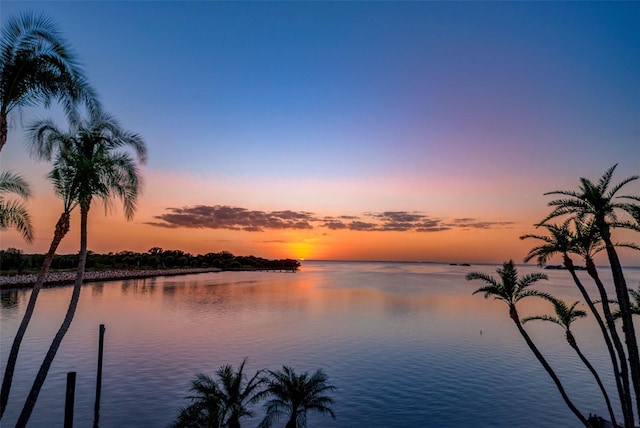 508 Driftwood Cir, Palm Harbor, FL 34683 - photo 4